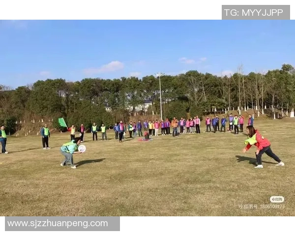 从零基础到飞盘高手团队协作全方位指南与实战技巧分享